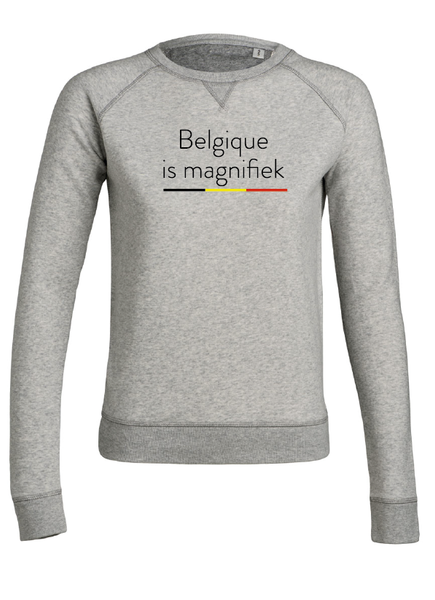 sweater belgique is magnifique (V)