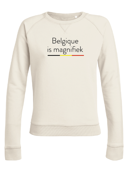 sweater belgique is magnifique (V)