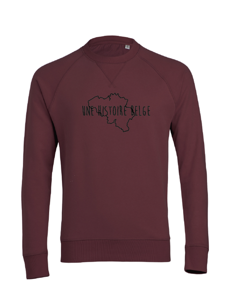 sweater une histoire belge