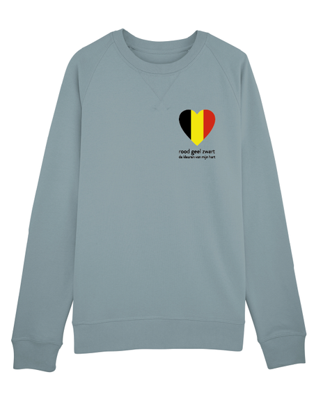 sweater man kleuren van mijn hart