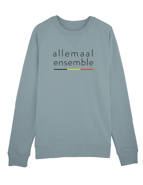 Sweater allemaal ensemble (man)