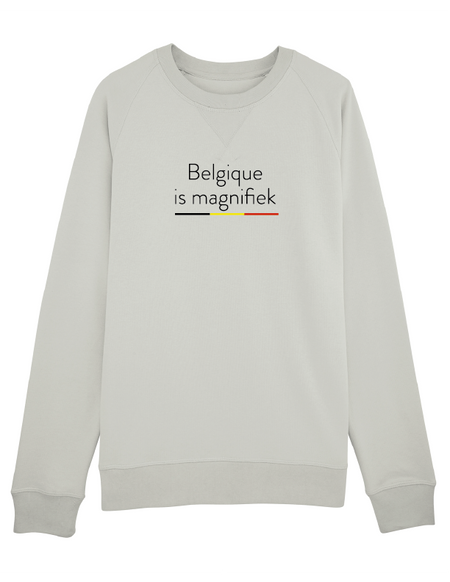 sweater une histoire belge (man)