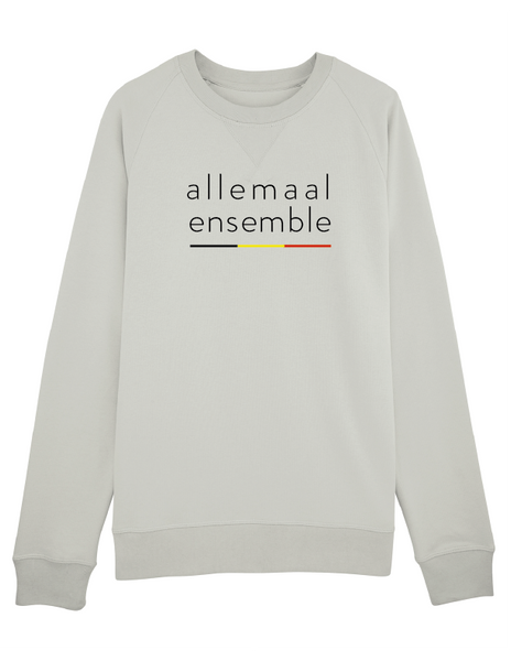 Sweater allemaal ensemble (man)