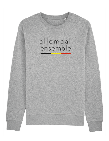 Sweater allemaal ensemble (man)