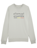 Sweater allemaal ensemble (man)